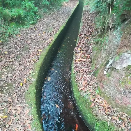 Cc39-q4 Funchal (Madeira)