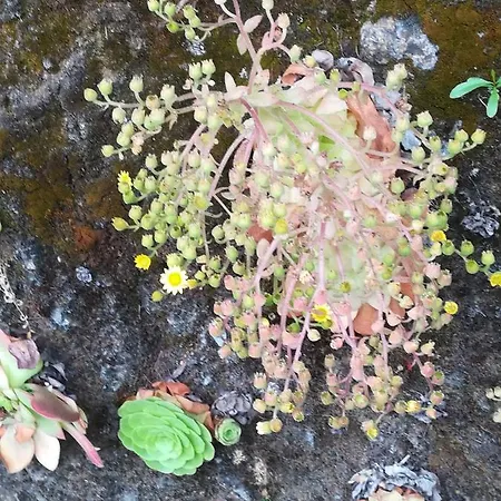 Séjour chez l'habitant Cc39-q4 *