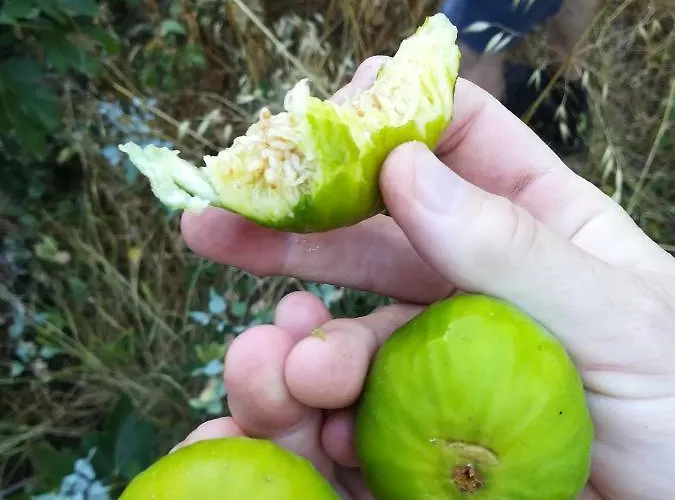 Quarto em Acomodações Particulares Cc39-q4 *