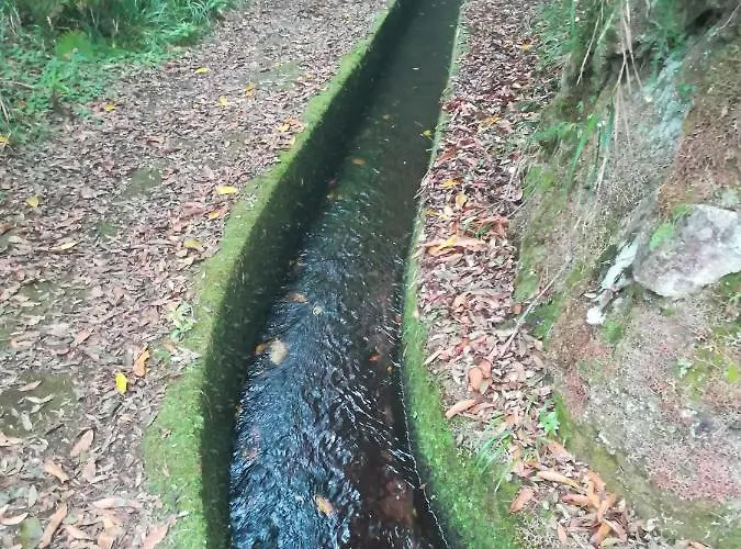 Cc39-q4 Funchal (Madeira)